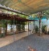 MẶT TIỀN KINH DOANH KHỦNG MAI THỊ LỰU - DT: 977m2 - Giá: 36 tỷ