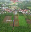 Cần bán 1 sào hẻm Lý Thường Kiệt đất bằng đường nhựa rộng.