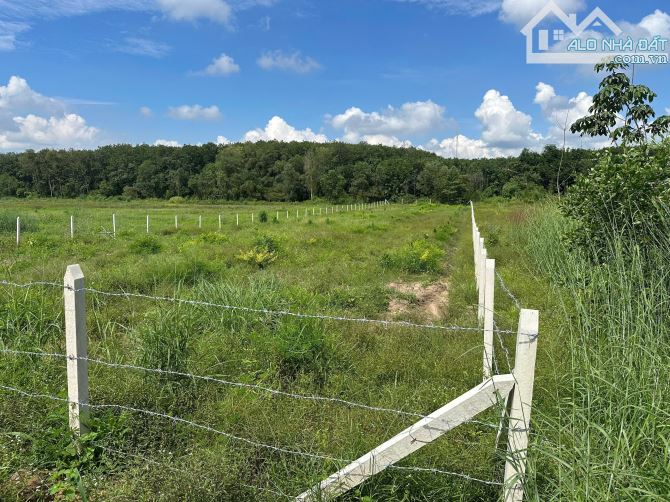 Đất sào HCM - 1230m2, cách đường huyện lộ 32m vào chỉ 700m, ngang 12m, giá: 800tr - 3