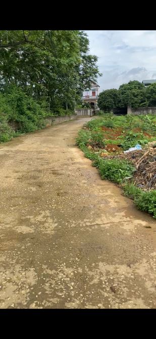 CHÍNH CHỦ CẦN BÁN ĐẤT ĐẸP TẠI YÊN MÔ – NINH BÌNH - 3