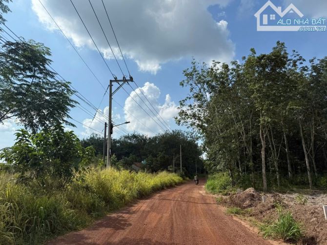 Đất sào HCM - 1230m2, cách đường huyện lộ 32m vào chỉ 700m, ngang 12m, giá: 800tr - 4
