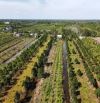 Bán 30.000 m2 đất có thổ cư mặt đường xe 10 tấn cách tỉnh lộ 866B 1,5km,Tân Lập 2 Tân Phướ