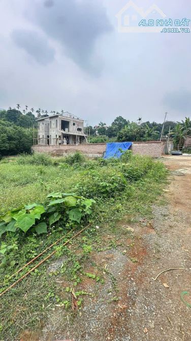 🌿 HÀNG HIẾM PHÚ MÃN – QUỐC OAI 🌿 720m² / 77m² thổ cư - 2
