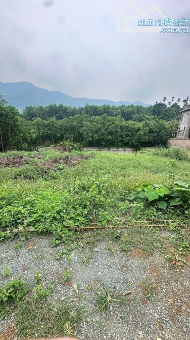 🌿 HÀNG HIẾM PHÚ MÃN – QUỐC OAI 🌿 720m² / 77m² thổ cư - 3
