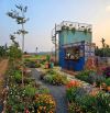 💥Sang lô đất làm home, cafe nhỏ xinh với view ruộng