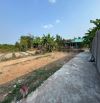 113m2 đất giá 550triệu thuộc Phước Hậu - Cần Giuộc dân dông sổ hồng