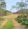 Chính chủ gửi bán mảnh đất tại Cẩm Lý, Lục Nam, Bắc Ninh 2350m2, 360 thổ cư, 2,5 tỷ