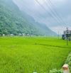 cần bán gấp 495m view cánh đồng Siêu đẹp Tân Lạc Hòa Bình giá chỉ vài trăm tr