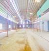 Cho thuê kho 800 m2 có điện 3 pha đường Phạm Hùng 20 triệu