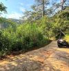 Bán đất view đẹp giữa rừng thông trung tâm Đà Lạt gần bến xe liên tỉnh