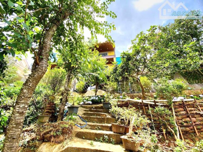 20 TRIỆU CHO THUÊ NHÀ NGUYÊN CĂN CÓ SÂN VƯỜN RỘNG 700 m² ĐƯỜNG HOÀNG HOA THÁM P10 ĐÀ LẠT - 1