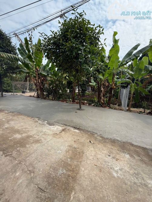 BÁN ĐẤT BÌNH NHÂM 30 DT 432m2- 100 THỔ CƯ GIÁ 7tỷ500tr - 2