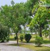CƠ HỘI DUY NHẤT! ĐẤT MẶT TIỀN PHÙNG HƯNG SÁT SÂN BAY LONG THÀNH GIÁ RẺ HƠN THỊ TRƯỜNG 30%