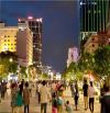 ĐẲNG CẤP SỞ HŨU BĐS QUẬN 1, NGAY PHỐ ĐI BỘ NGUYỄN HUỆ, ĐỐI DIỆN BITEXCO, CHÍNH CHỦ