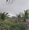 ĐẤT TRỒNG CÂY LÂU NĂM LÊ MINHXUÂN, BÌNH CHÁNH, 2000M2, GIÁ 20TY