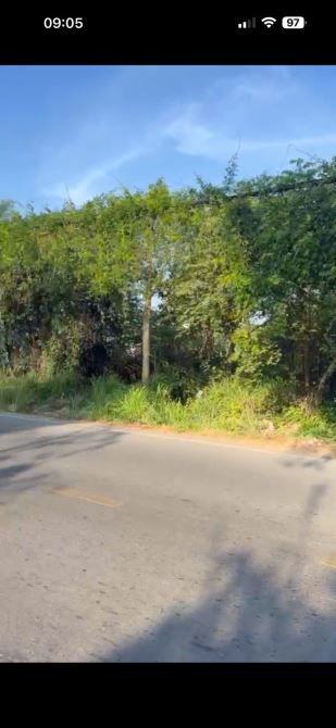Bán đất: MT Đường An Hạ, Xã Phạm Văn Hai, Huyện Bình Chánh