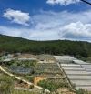 3695m2 _ ĐẤT ĐẸP VIEW RỪNG THÔNG GẦN TRUNG TÂM ĐÀ LẠT