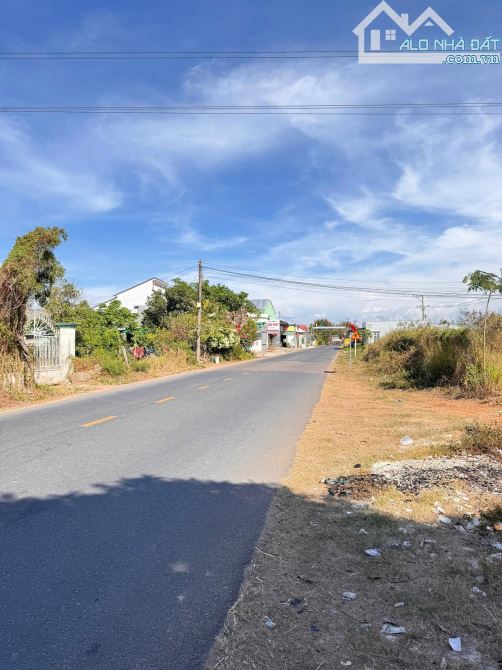 Bán đất thổ cư trung tâm Phan Thiết đường Hải Thượng Lãn Ông - 1