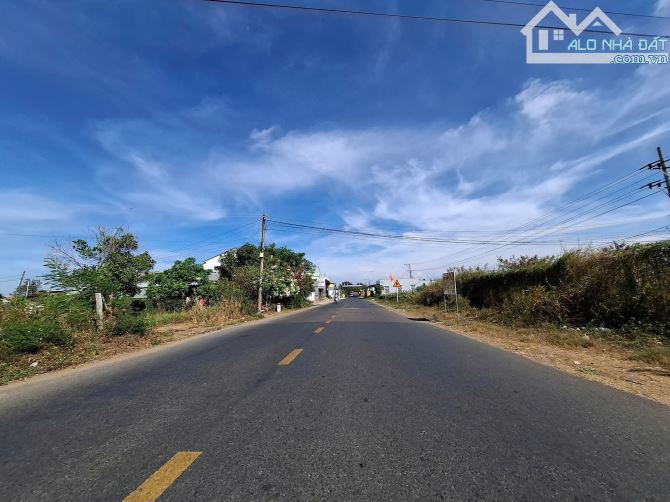 Bán đất thổ cư trung tâm Phan Thiết đường Hải Thượng Lãn Ông - 2