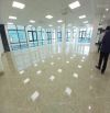 Tòa VP Nguyễn Văn Đậu,P.11,Q.Bình Thạnh - 14,5x35(3000m2 sàn)Hầm+8 tầng - Gía: 260 tỷ