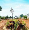 Bán giá đầu tư nhỉnh 10tr 863m Yên Xuân Quốc Oai sát trục chính view thoáng đường 3 ôtô