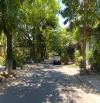 Bán lô đất đường 5m5 Trừ Văn Thố- Hoà Thọ Đông- Cẩm Lệ