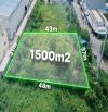Cho thuê mặt bằng diện tích 1500m2 tại Đ.Hải Sơn - Tân Đức