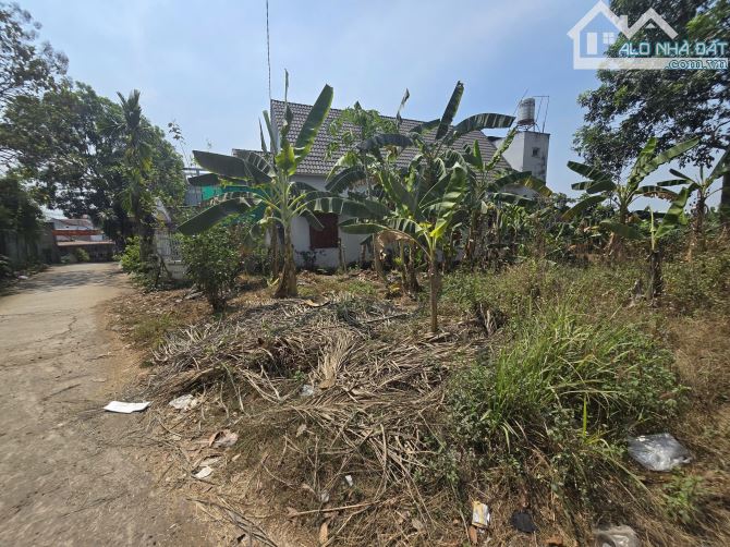 D152 🆘Bán lô đất gần 1.000m2 sát khu du lịch Sơn Tiên, P. An Hoà. - 1