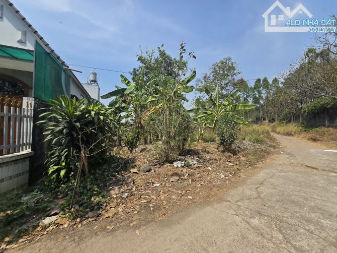 D152 🆘Bán lô đất gần 1.000m2 sát khu du lịch Sơn Tiên, P. An Hoà. - 2