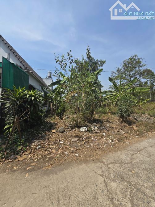D152 🆘Bán lô đất gần 1.000m2 sát khu du lịch Sơn Tiên, P. An Hoà. - 4