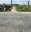 1845m2 đất 🌾 2MT đường đá xanh bagac giá 600triệu/công cách nhựa An Thạnh tầm 300m CT LA