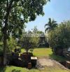 Bán đất bờ sông Long Phước Thủ Đức, 5.000m², thích hợp compound và farmstay