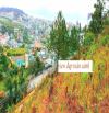 Bán đất 2 mặt tiền view đẹp toàn cảnh khu dân cư trung tâm Đà Lạt