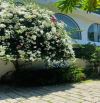 💥BÁN SIÊU PHẨM VILLA BIỆT THỰ TÂN CỔ ĐIỂN 02 MẶT TIỀN ĐẲNG CẤP