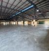 XT100 CHO THUÊ NHÀ XƯỞNG TRONG KCN LONG KHÁNH – HẠ TẦNG HOÀN THIỆN  ______________________