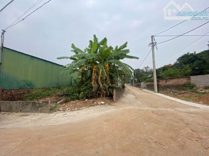 Bán đất lô góc 339m2 xã Minh Phú, Sóc Sơn - Đường ô tô tránh - Có sẵn nhà xưởng - 3
