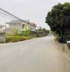 SIÊU HIẾM TẠI VĂN HỘI - NINH GIANG