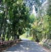 bán 1,8 hecta đất view Hồ cách Biển Nha Trang chỉ 25p giá 305k/m2, đường nhựa lên Hòn Bà