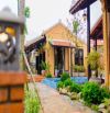 VIEW LÚA HỘI AN – 382M², 3 MẶT THOÁNG, CÓ HỒ BƠI 13 TỶ?