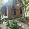 Nhà vườn 423m2- Đông Thạnh-Hóc Môn .Giá 3.7 Tỷ