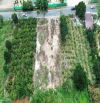 BÁN 27M ĐẤT MẶT TIỀN ĐƯỜNG 725 TÀ NUNG ĐÀ LẠT