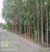 QUỸ ĐẤT LỚN TRƯỚC CỔNG SÂN BAY LONG THÀNH- DT: 18.902M-GIÁ: 55 TỶ-LONG PHƯỚC-LT