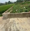 cần bán đất Xuân Mai, 82m, lô góc, 2 ô tô tránh, ngõ thông, giá hơn 1 tỷ.