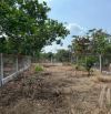 QUÁ RẺ.DÂN CƯ KÍN.GẦN NÚT GIAO CAO TỐC.GẦN DU LỊCH BIỂN GIÁ CHỈ 800tr 239m2 full thổ cư
