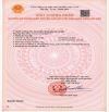 Đất Mặt Đường Thiên Lôi Cầu Rào Kinh Doanh Sầm Uất