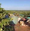✨4,1ha cà phê ( bìa 3,8ha) cách TL675 chỉ 500m