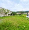 🌿 ĐẤT HOÀ PHÚ 300M² FULL THỔ CƯ – NGANG 10M – ĐƯỜNG 7M5 – GIÁ CHỈ 3,38 TỶ 🌿