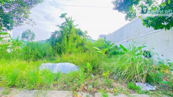 Cho thuê đất 345 m2 khu Long Thịnh 10  triệu - 3