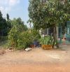 Chính chủ bán đất Tân Định 16, Bắc Tân Uyên – 283.1m², thổ cư cao
