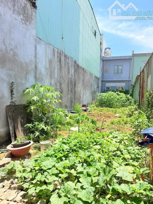 LÔ ĐẤT VÍP ĐƯỜNG 10.5M VĂN TIẾN DŨNG DT 125M2 NGANG 5M CHỈ HON 7 TỶ